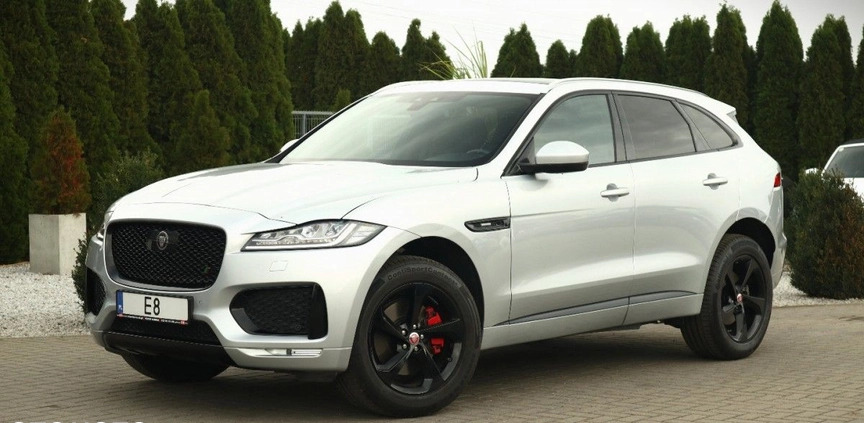 Jaguar F-Pace cena 149900 przebieg: 7000, rok produkcji 2017 z Słupca małe 631